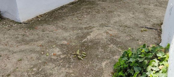 2 bedrooms Apartment in Alicante, Spain No. 181767 26