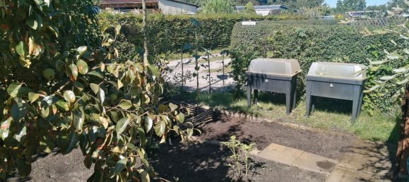 Land in Markisch-Oderland, Germany No. 340807 18