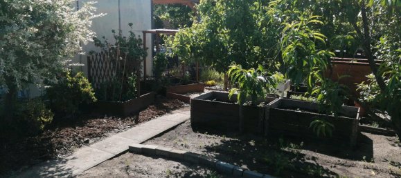 Land in Markisch-Oderland, Germany No. 340807 17