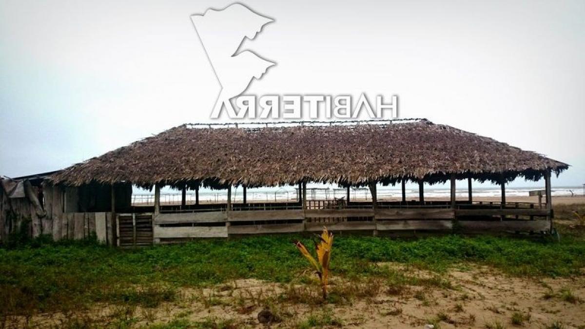  Land in Veracruz, Mexico No. 205440