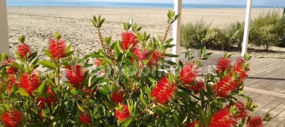 2 bedrooms Apartment in Ameglia, Italy No. 146381 5