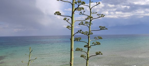 3 Schlafzimmer Wohnung in Avola, Italy, Nr. 55979 14