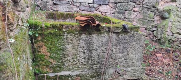 1 chambre Maison à Ourense, Spain No. 190663 2