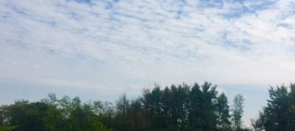  Land in Erbusco, Italy No. 142886 7