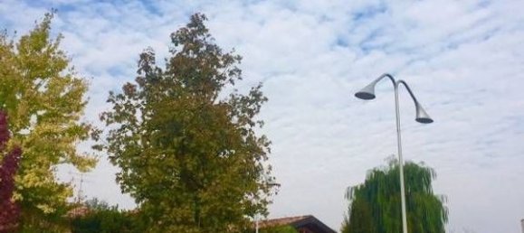  Land in Erbusco, Italy No. 142886 6