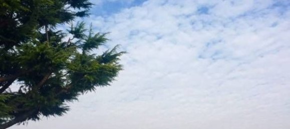  Land in Erbusco, Italy No. 142886 2