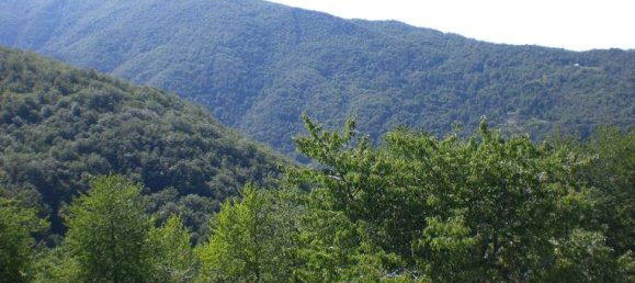 Casa de 5 dormitorios en Monasterolo Casotto, Italy No. 254122 5