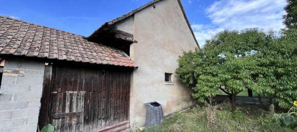 4 chambres Maison à Quatzenheim, France No. 241232 18