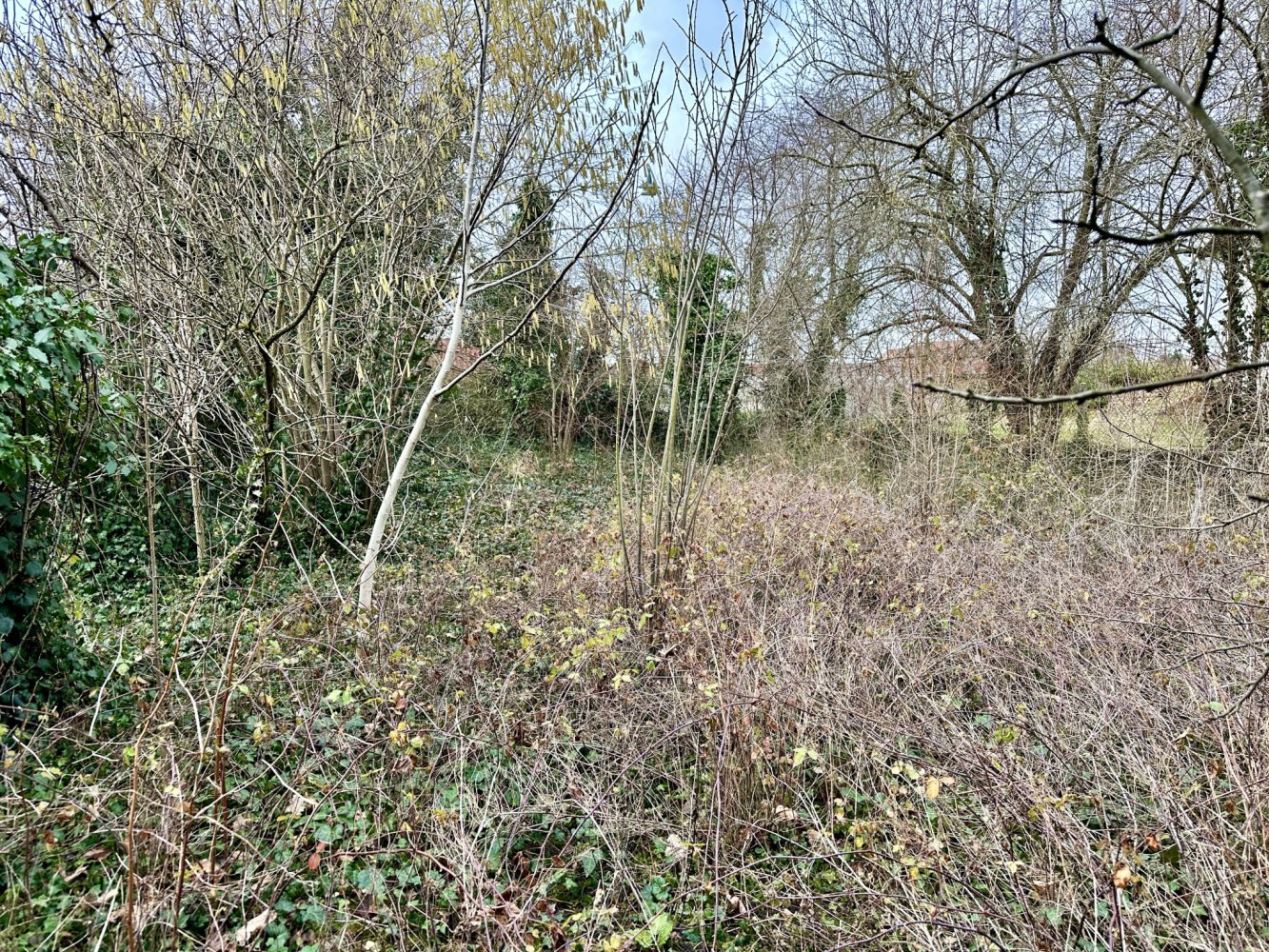 3 bedrooms Land in Ottmarsheim, France No. 84449