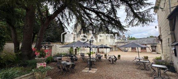 24 bedrooms Castles in Beaumont-en-Veron, France No. 249094 2