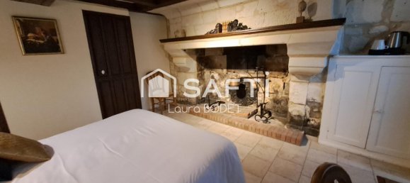 24 bedrooms Castles in Beaumont-en-Veron, France No. 249094 7