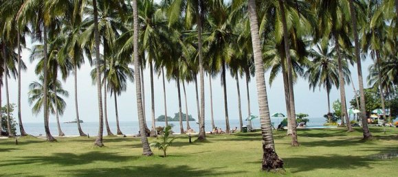 Кондоминиум  с 1 спальней в Чанг, Таиланд № 1522 10