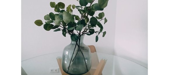 1 Schlafzimmer Wohnung in Lisbon, Portugal, Nr. 150495 11