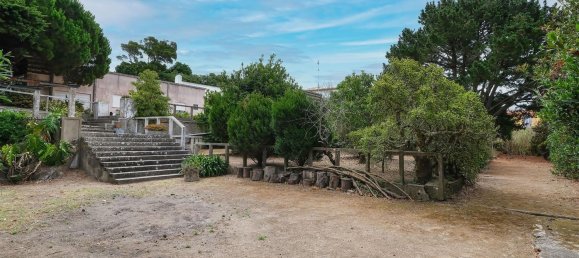  قطعة أرض في Colares, Portugal 3637متر مربع رقم 123582 26