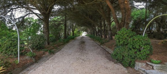  قطعة أرض في Colares, Portugal 3637متر مربع رقم 123582 12