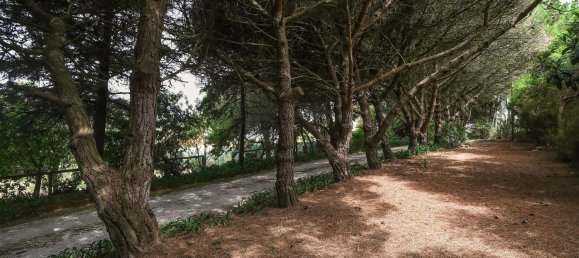  قطعة أرض في Colares, Portugal 3637متر مربع رقم 123582 36