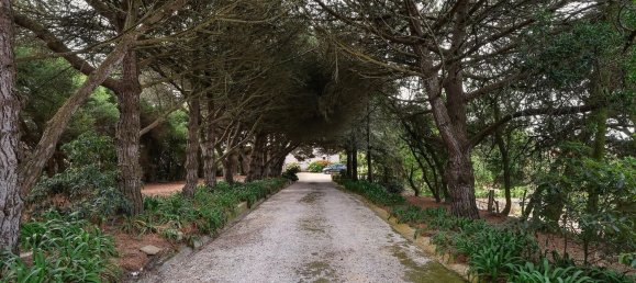  قطعة أرض في Colares, Portugal 3637متر مربع رقم 123582 10