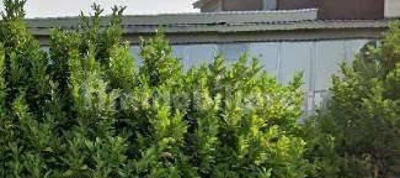 Almacén de 5 habitaciónes en Baranzate, Italy No. 332223 3