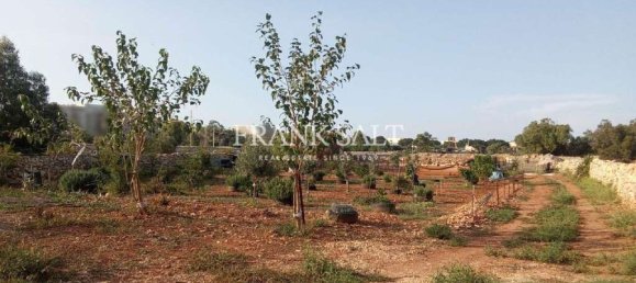 Terreno en Ghaxaq, Malta 1405 m² No. 13424 2