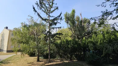 2 rooms Apartment in Wiener Neudorf, Austria No. 202224