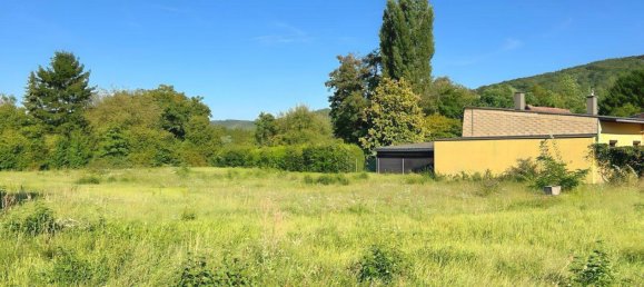  قطعة أرض في Zeiselmauer-Wolfpassing, Austria رقم 236877 3