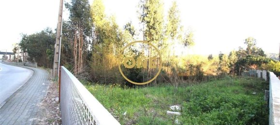 4000m² Land in Ruilhe, Portugal No. 24701 3