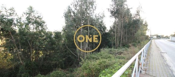 4000m² Land in Ruilhe, Portugal No. 24701 4