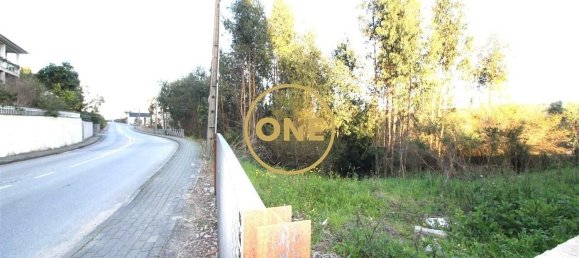 4000m² Land in Ruilhe, Portugal No. 24701 2