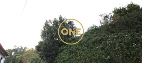 4000m² Land in Ruilhe, Portugal No. 24701 7