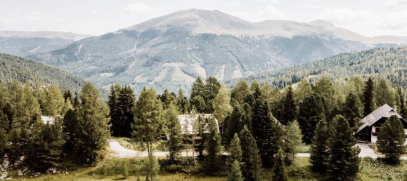 4 chambres Maison à Stadl-Predlitz, Austria No. 148370 7