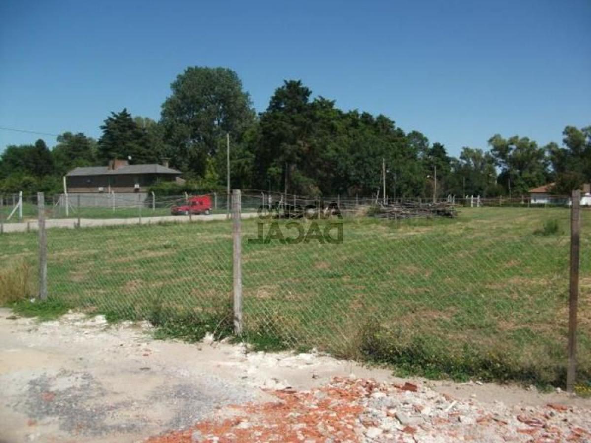  Land in Campo Creado, Argentina No. 43873