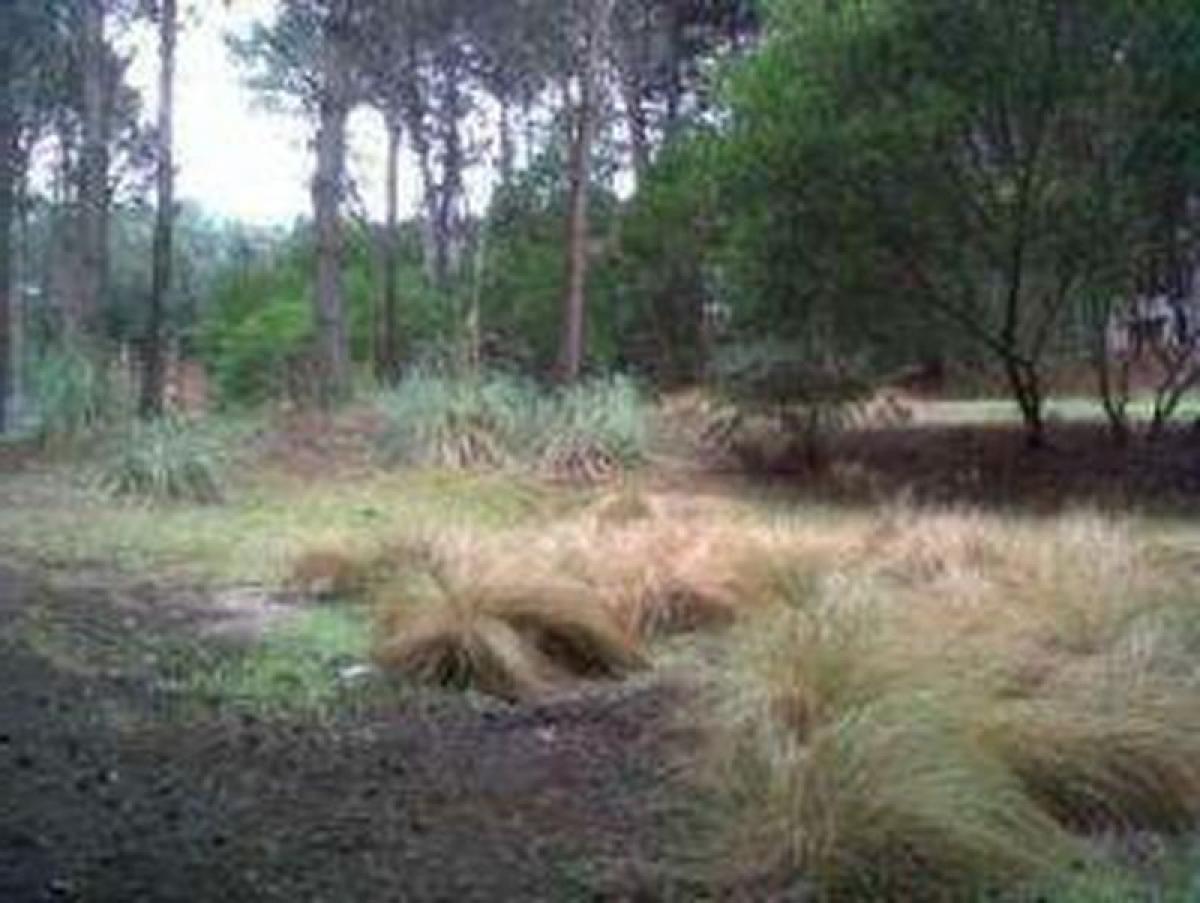  Land in Mar del Plata, Argentina No. 111105