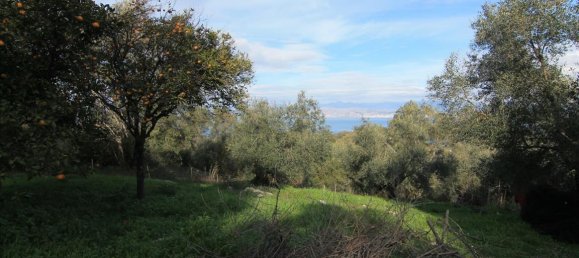 3 dormitorios propiedad comercial en venta en Corfu, Central Corfu and Diapontian Islands, Corfu, Ionian Islands, Peloponnese, Western Greece and the Ionian, Greece № 5224 11