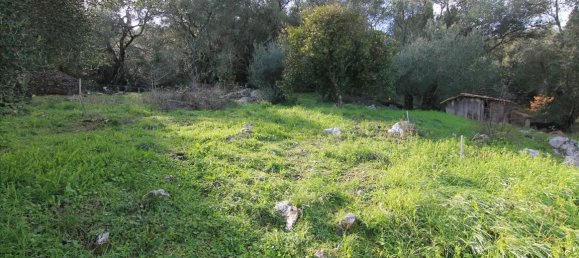 3 dormitorios propiedad comercial en venta en Corfu, Central Corfu and Diapontian Islands, Corfu, Ionian Islands, Peloponnese, Western Greece and the Ionian, Greece № 5224 10