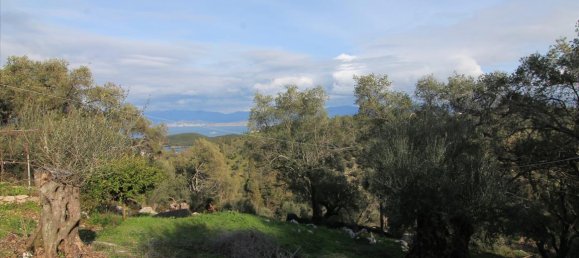 3 dormitorios propiedad comercial en venta en Corfu, Central Corfu and Diapontian Islands, Corfu, Ionian Islands, Peloponnese, Western Greece and the Ionian, Greece № 5224 19
