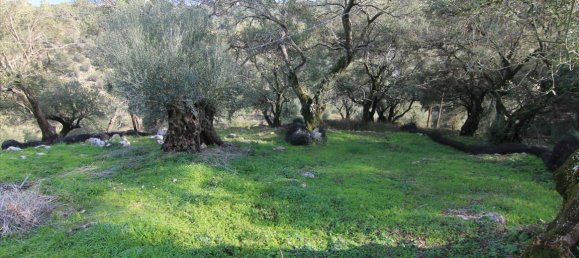 3 dormitorios propiedad comercial en venta en Corfu, Central Corfu and Diapontian Islands, Corfu, Ionian Islands, Peloponnese, Western Greece and the Ionian, Greece № 5224 20