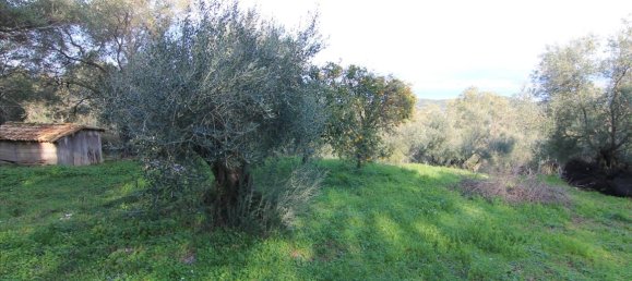 3 dormitorios propiedad comercial en venta en Corfu, Central Corfu and Diapontian Islands, Corfu, Ionian Islands, Peloponnese, Western Greece and the Ionian, Greece № 5224 13
