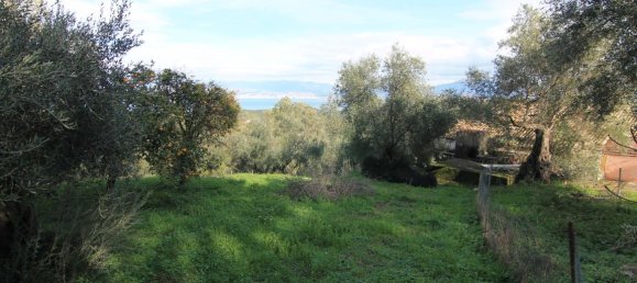 3 dormitorios propiedad comercial en venta en Corfu, Central Corfu and Diapontian Islands, Corfu, Ionian Islands, Peloponnese, Western Greece and the Ionian, Greece № 5224 14