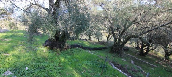 3 dormitorios propiedad comercial en venta en Corfu, Central Corfu and Diapontian Islands, Corfu, Ionian Islands, Peloponnese, Western Greece and the Ionian, Greece № 5224 18