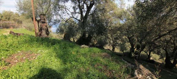 3 dormitorios propiedad comercial en venta en Corfu, Central Corfu and Diapontian Islands, Corfu, Ionian Islands, Peloponnese, Western Greece and the Ionian, Greece № 5224 17