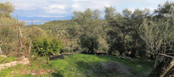 3 dormitorios propiedad comercial en venta en Corfu, Central Corfu and Diapontian Islands, Corfu, Ionian Islands, Peloponnese, Western Greece and the Ionian, Greece № 5224 16