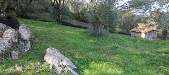 3 dormitorios propiedad comercial en venta en Corfu, Central Corfu and Diapontian Islands, Corfu, Ionian Islands, Peloponnese, Western Greece and the Ionian, Greece № 5224 12