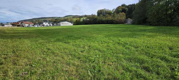 4974m² Land in Oberwang, Austria No. 61487 2