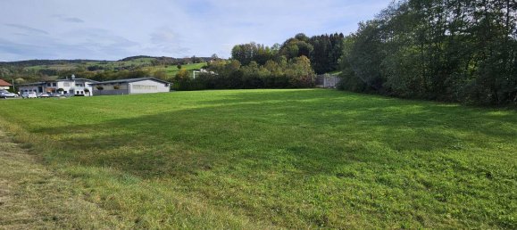 4974m² Land in Oberwang, Austria No. 61487 3