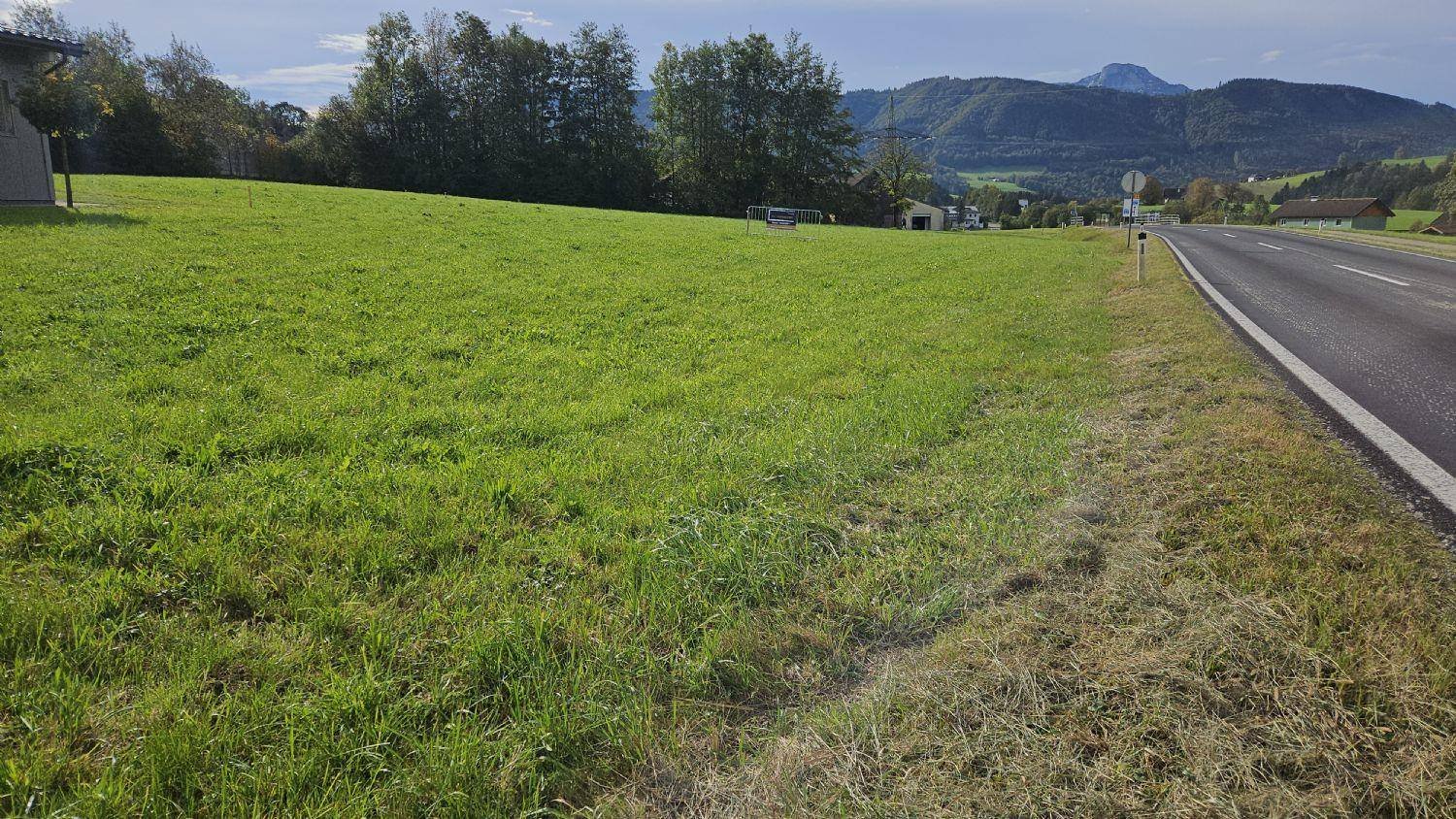4974m² Land in Oberwang, Austria No. 61487