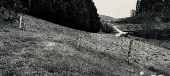 3 Schlafzimmer Haus in Loire, France, Nr. 359252 8