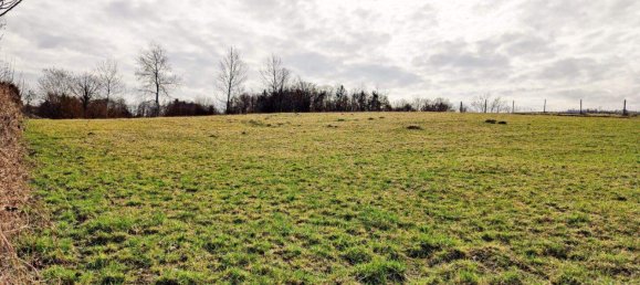 Terrain à Gratkorn, Austria No. 125280 5