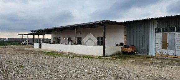 3-salle Maison à Torremaggiore, Italy No. 129784 4