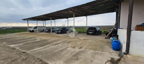 3-salle Maison à Torremaggiore, Italy No. 129784 8