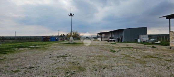 3-salle Maison à Torremaggiore, Italy No. 129784 5